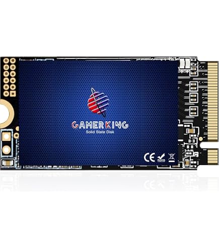 Amazon.com: GALIMU Micron 512GB 2400 2242 M.2 NVMe SSD PCIE Gen4